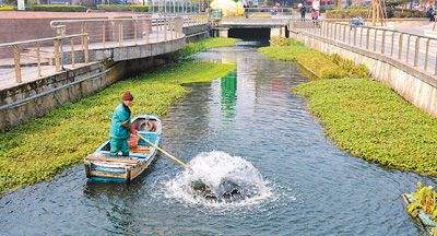 上海大力整治污染河道 56条黑臭水体年内将基本消除