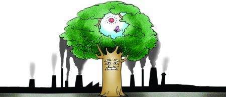 防治大气污染“国十条”:将提高排污收费标准_新浪新闻